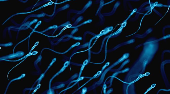 Six Things You Didn’t Know About Sperm!